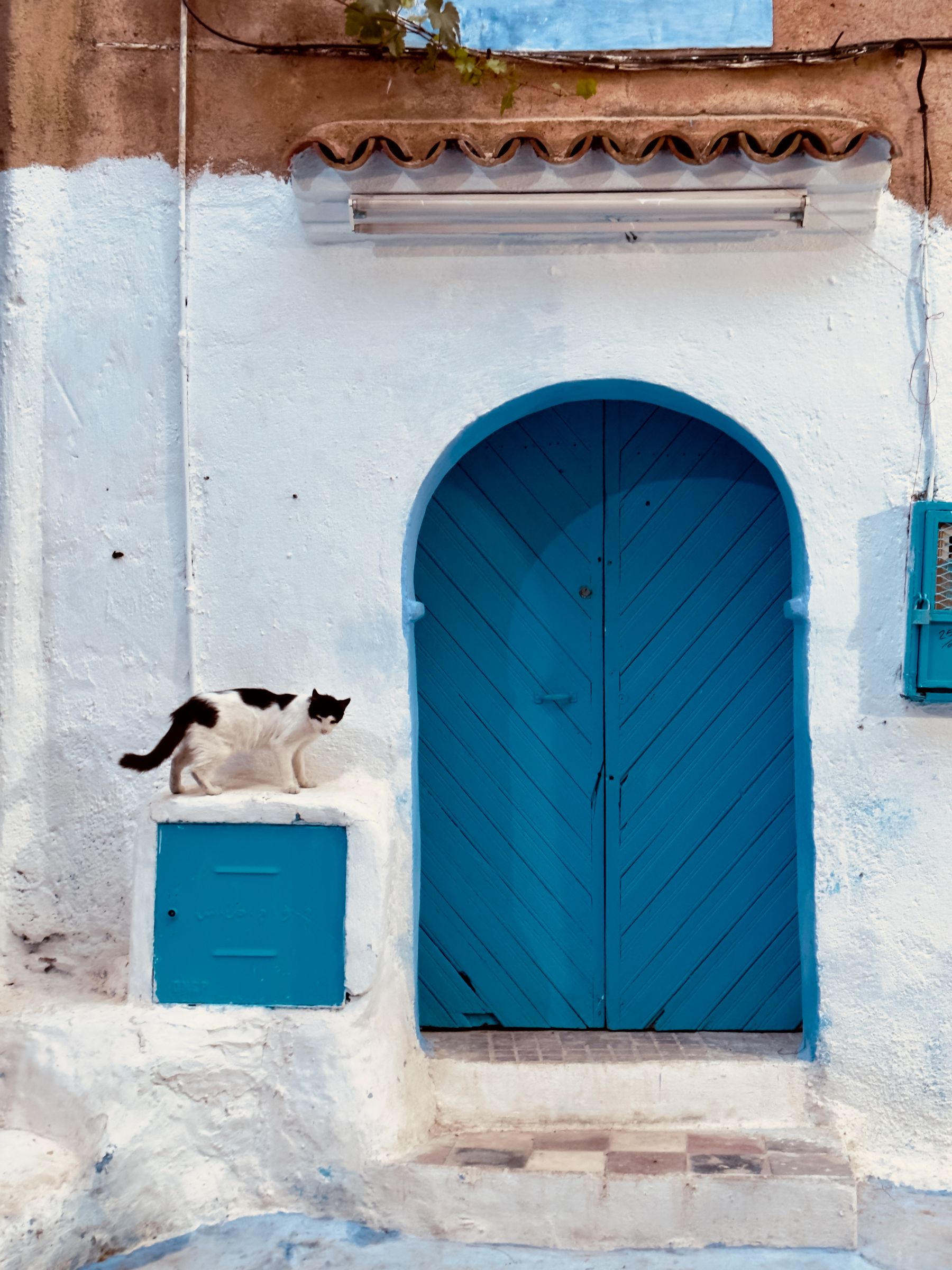 Moroccan Door #90